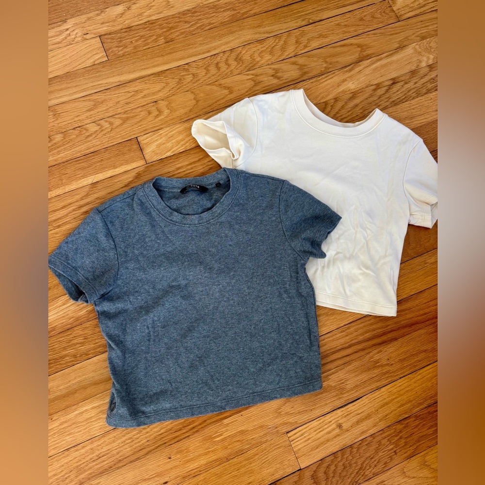 Lot of 2 CUTS Crop Tops Small 
WT 10204 FLX4